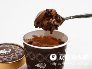 DariK チョコレートアイスクリーム