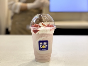 MINISOF（ミニソフ）