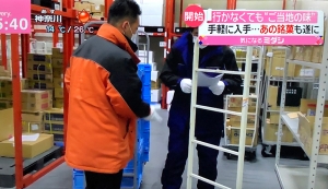 行かなくてもご当地アイス