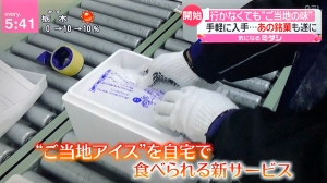 行かなくてもご当地アイス