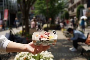 ミルクバー バイ ハンデルス ベーゲン トリプルミルクアイス