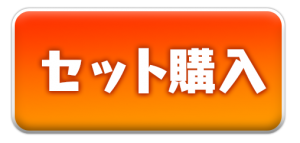アイスセット購入