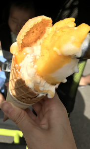 初めてのフレーバーに出会えるかも！大阪なんばの知る人ぞ知る本格ジェラート店！
