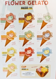 ALLGOODSTORE GELATO