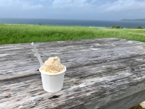 海を眺めながら食べる南の島の絶品ジェラート！島の素材がたっぷりの人気店♪
