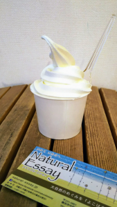 奥中山高原 ジャージー牛乳 ソフトクリーム