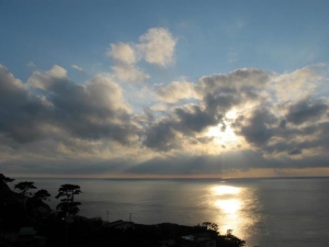 イルカの島「御蔵島」でご夫婦が営むローカルな商店のほんわかジェラート！