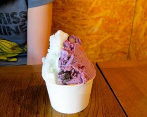 イルカの島「御蔵島」でご夫婦が営むローカルな商店のほんわかジェラート！