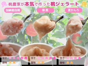 桃ジェラート 夏かんろ・嶺鳳・加納岩白桃