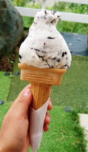 かわばジェラート『チョコチップクッキー』