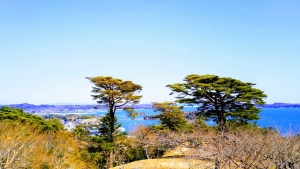 松島湾