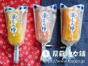 甘楽菓子工房 こまつやの『アイス武流令』と『ひんやり涼しん棒』