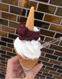 小さなコーンのおまけが可愛い！滋賀竜王の牧場直営店のジェラートとソフト♪