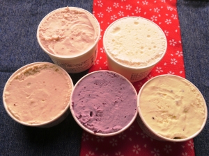 渋川飯塚ファーム 「やんば地みるくアイス」